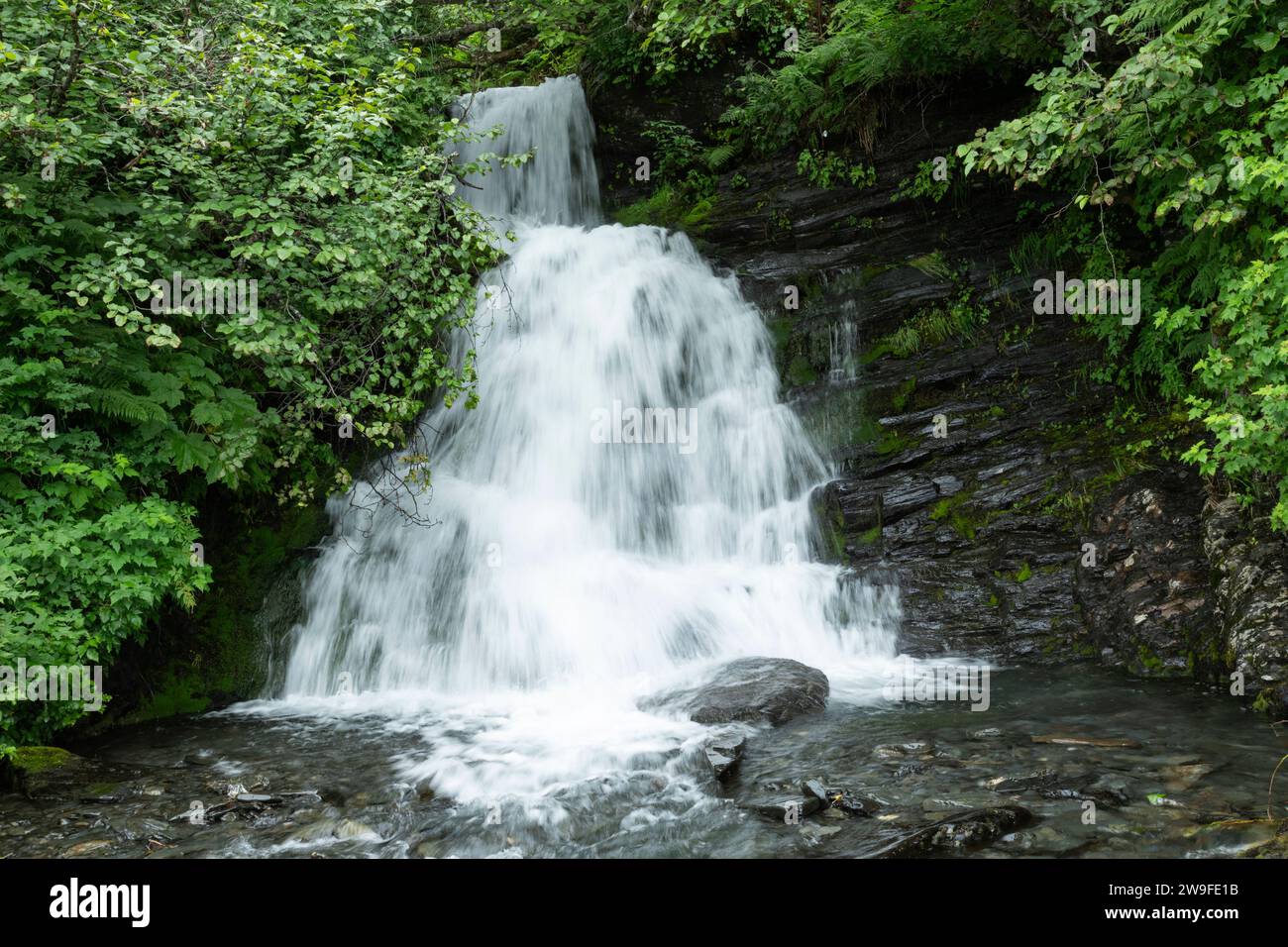 Nordamerika; Usa; Alaska; Prince William Sound; Valdez; Chugach National Forest; Crooked Creek Falls; Wasserfall Stockfoto