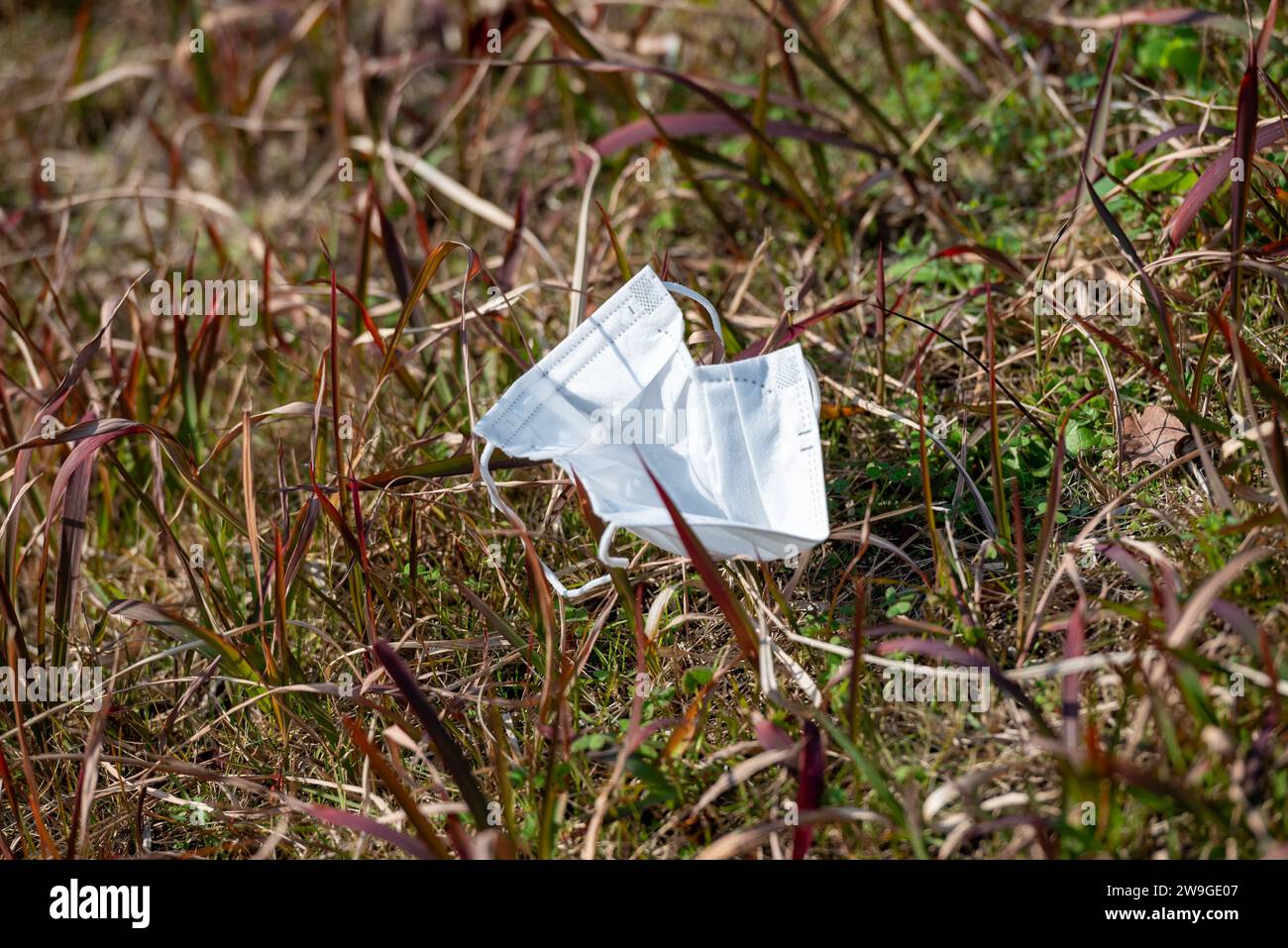 Eine medizinische Gesichtsmaske auf dem Gras. Unverantwortliche Maskenentsorgung. Stockfoto