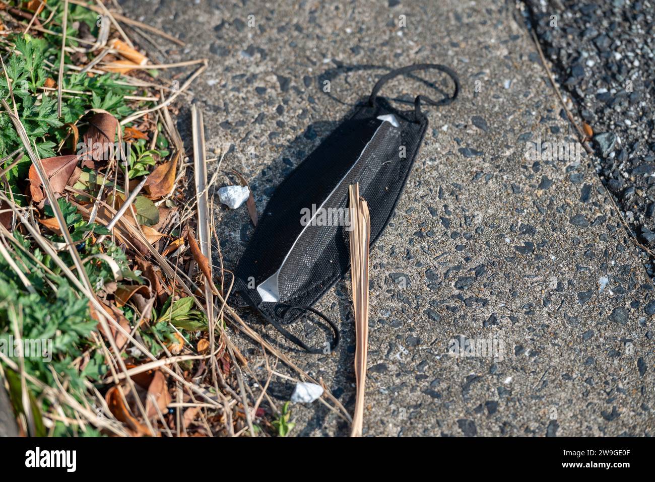 Eine medizinische Gesichtsmaske auf dem Gras. Unverantwortliche Maskenentsorgung. Stockfoto
