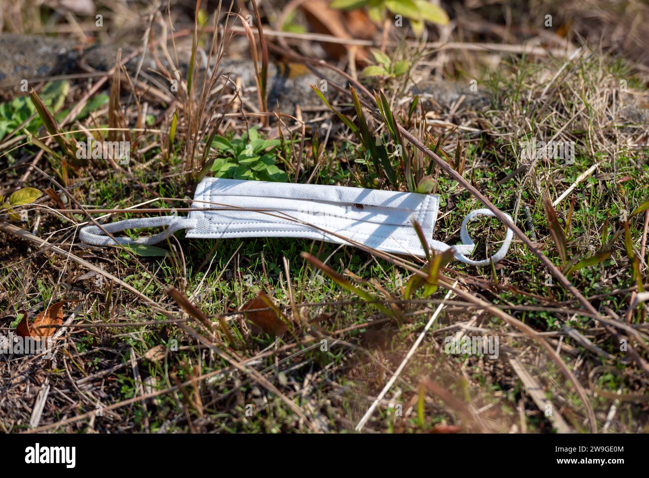 Eine medizinische Gesichtsmaske auf dem Gras. Unverantwortliche Maskenentsorgung. Stockfoto