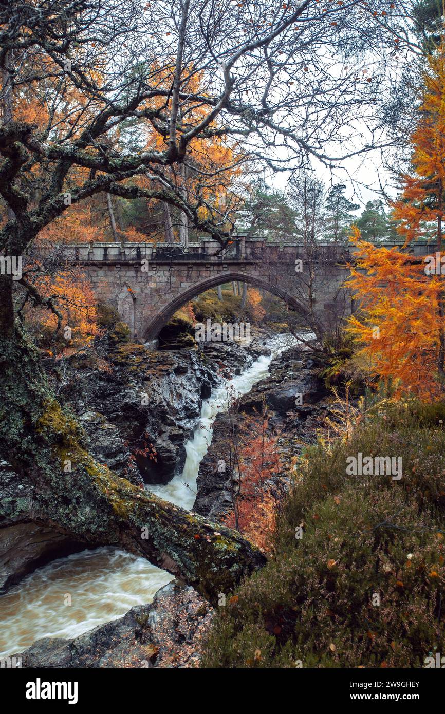 Linn of Dee Falls im Herbst in der Nähe von Braemar, Aberdeenshire, Schottland. Stockfoto