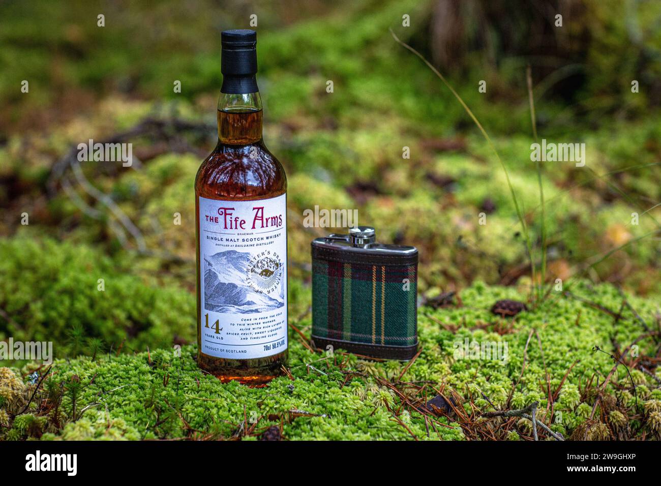 Tartan Hip Flask mit Single Malt Scotch Whisky Flasche steht auf Moos im Wald. Stockfoto