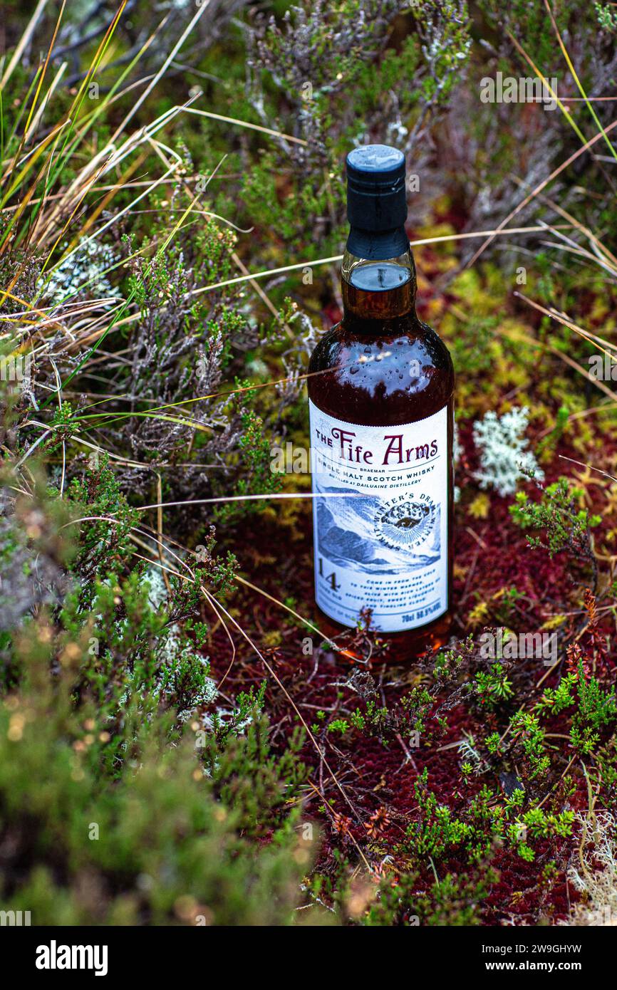 Single Malt Scotch Whisky Flasche steht auf Moos in der Landschaft Stockfoto