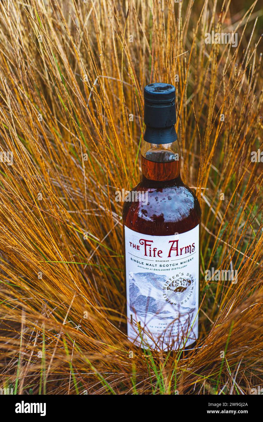 Single Malt Scotch Whisky Flasche steht auf Gras in der Landschaft Stockfoto