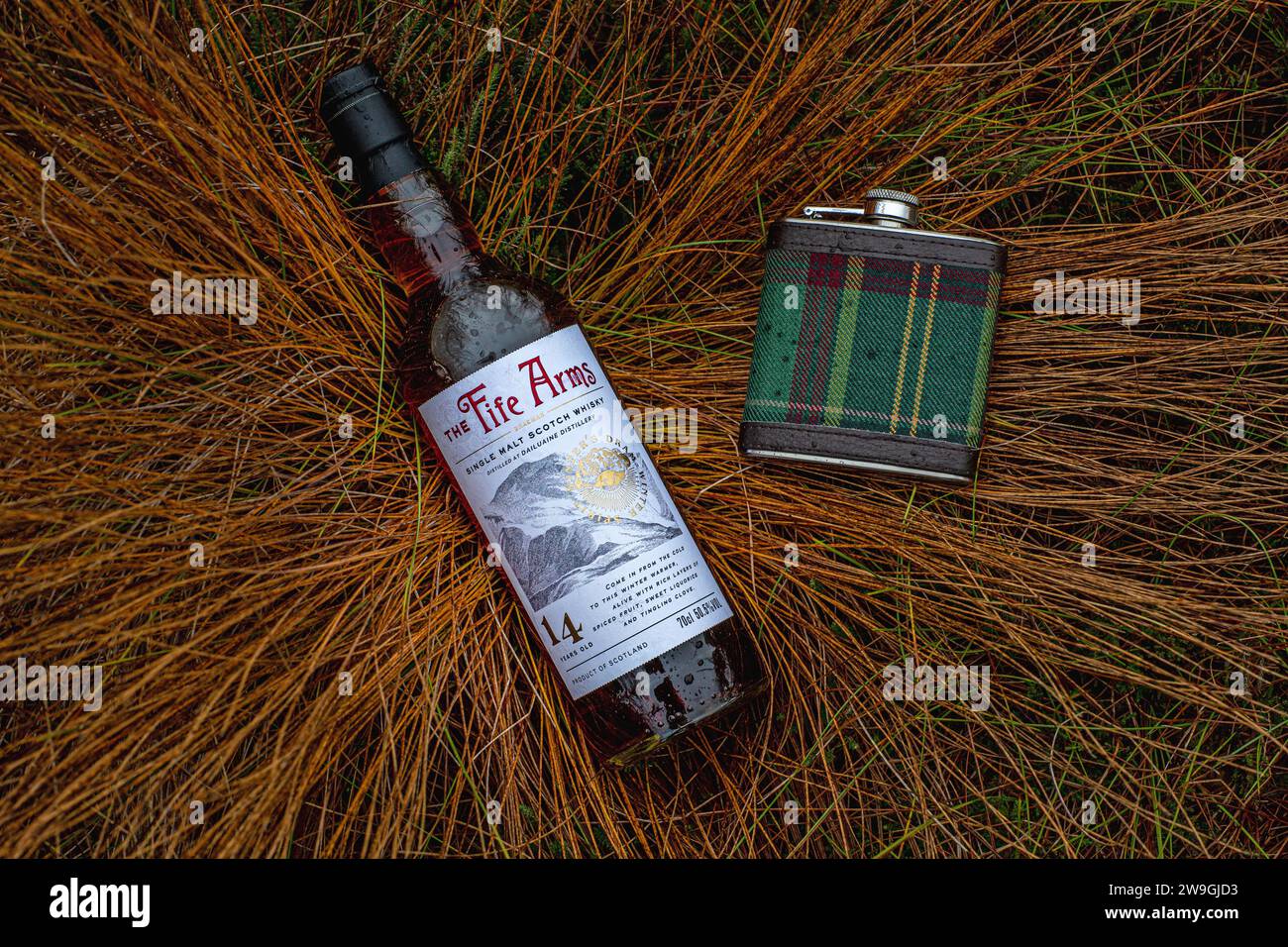Die Schottenflasche mit Single Malt Scotch Whisky liegt auf Gras. Stockfoto