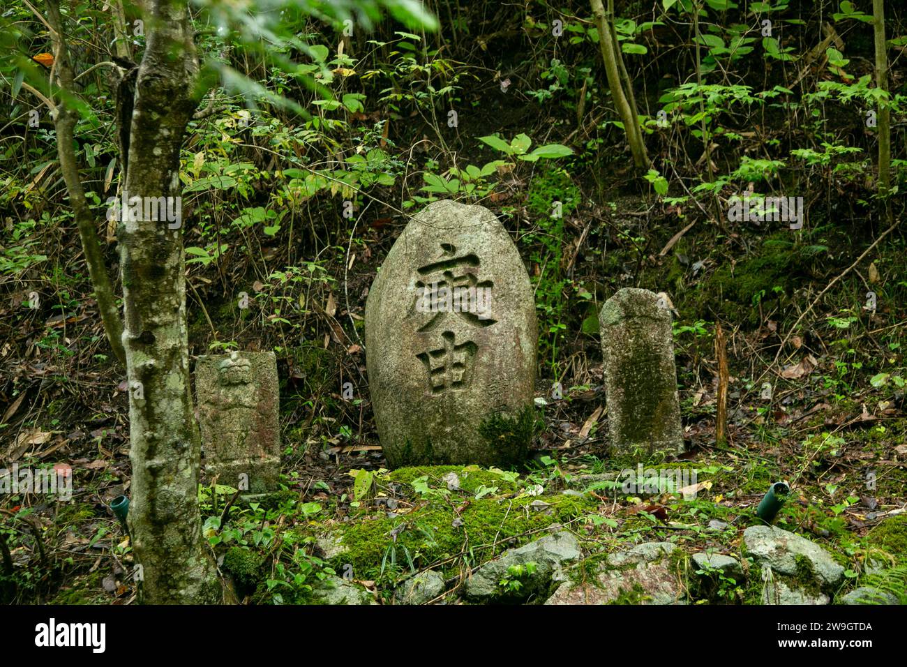 Stein mit religiösen Motiven in einem Wald in Japan gemeißelt. Stockfoto