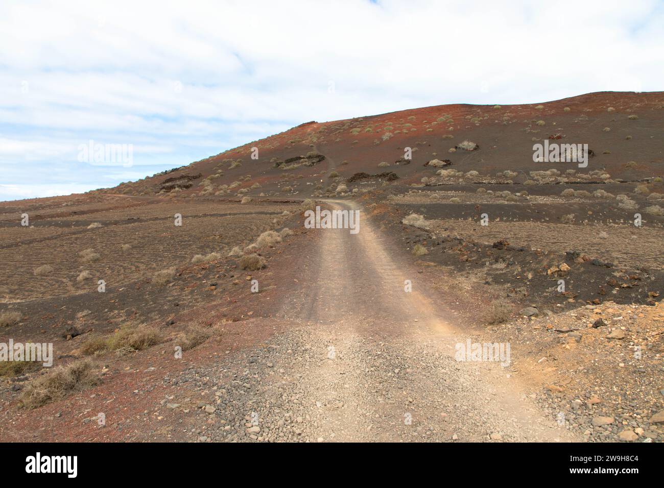 Landstraße in einer vulkanischen Landschaft im Los Ajaches National Park bei Papgayo. Playa Blanca, Lanzarote, Spanien Stockfoto