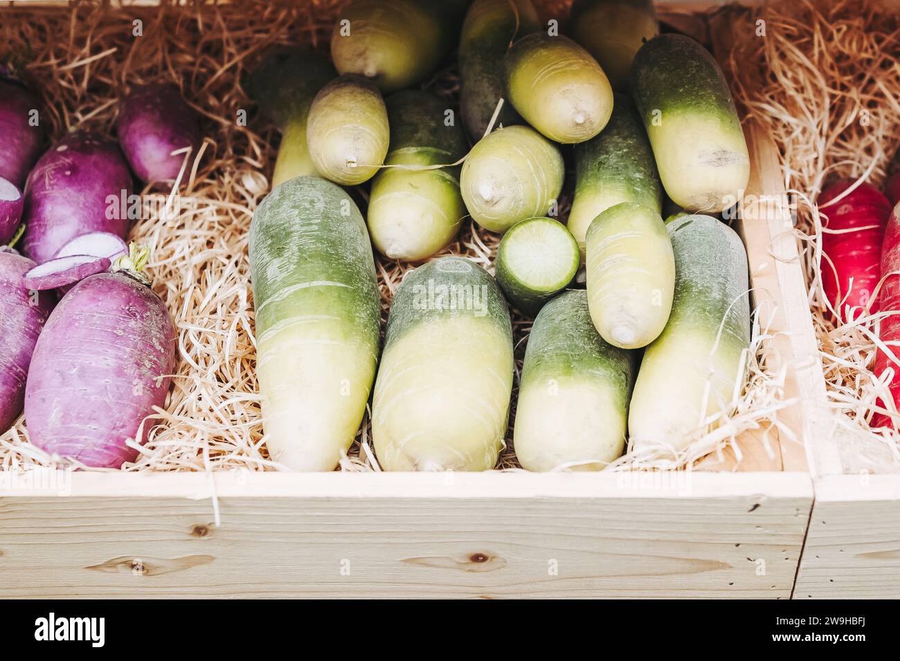 Bunte Rüben auf einem Bio-Bauernmarkt Stockfoto