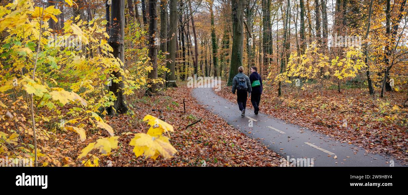 driebergen, niederlande, 23. november 2023: Zwei junge Frauen wandern auf Radwegen durch den Herbstwald bei utrecht in holland Stockfoto