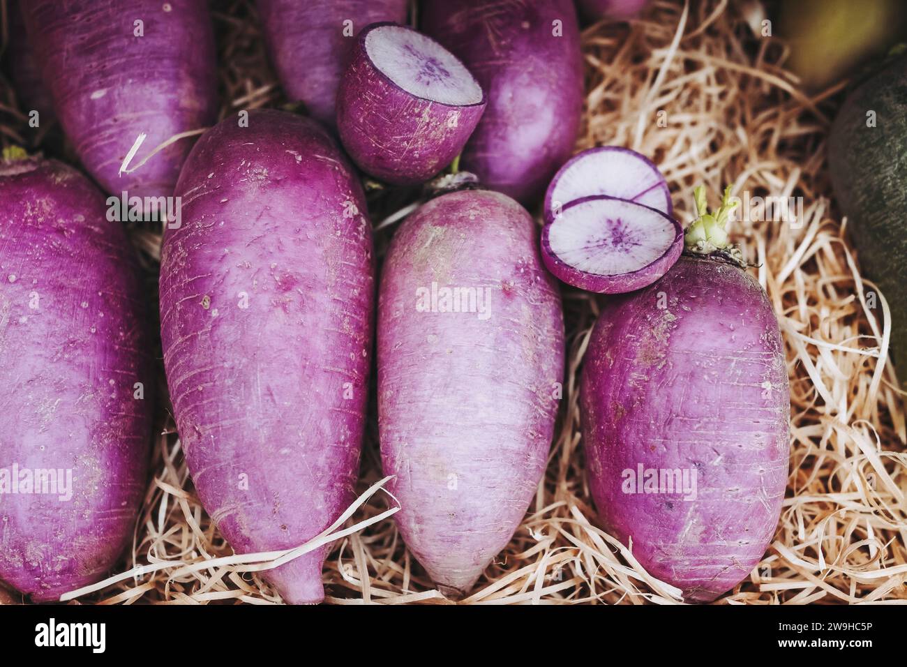 Bunte Rüben auf einem Bio-Bauernmarkt Stockfoto