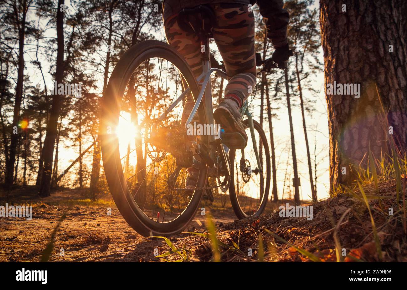 Mädchen auf einem Fahrrad fährt einen Pfad im Herbstwald bei Sonnenuntergang. Ansicht des unteren Winkels. Aktives Freizeitkonzept. Stockfoto