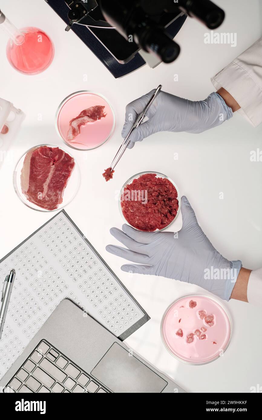Unerkennbare Wissenschaftlerin bei der Analyse verschiedener Rohfleischsorten im Labor Stockfoto