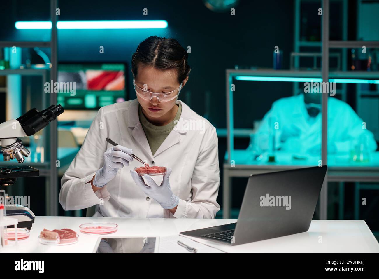 Junge asiatische Wissenschaftlerin analysiert Proben von Hackfleisch, die an ihrem Arbeitsplatz im Labor sitzen Stockfoto