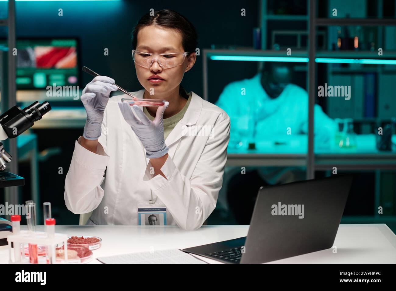 Junger asiatischer Forscher, der während der Arbeit im Labor die Partikel von rohem Fleisch aufmerksam untersucht Stockfoto