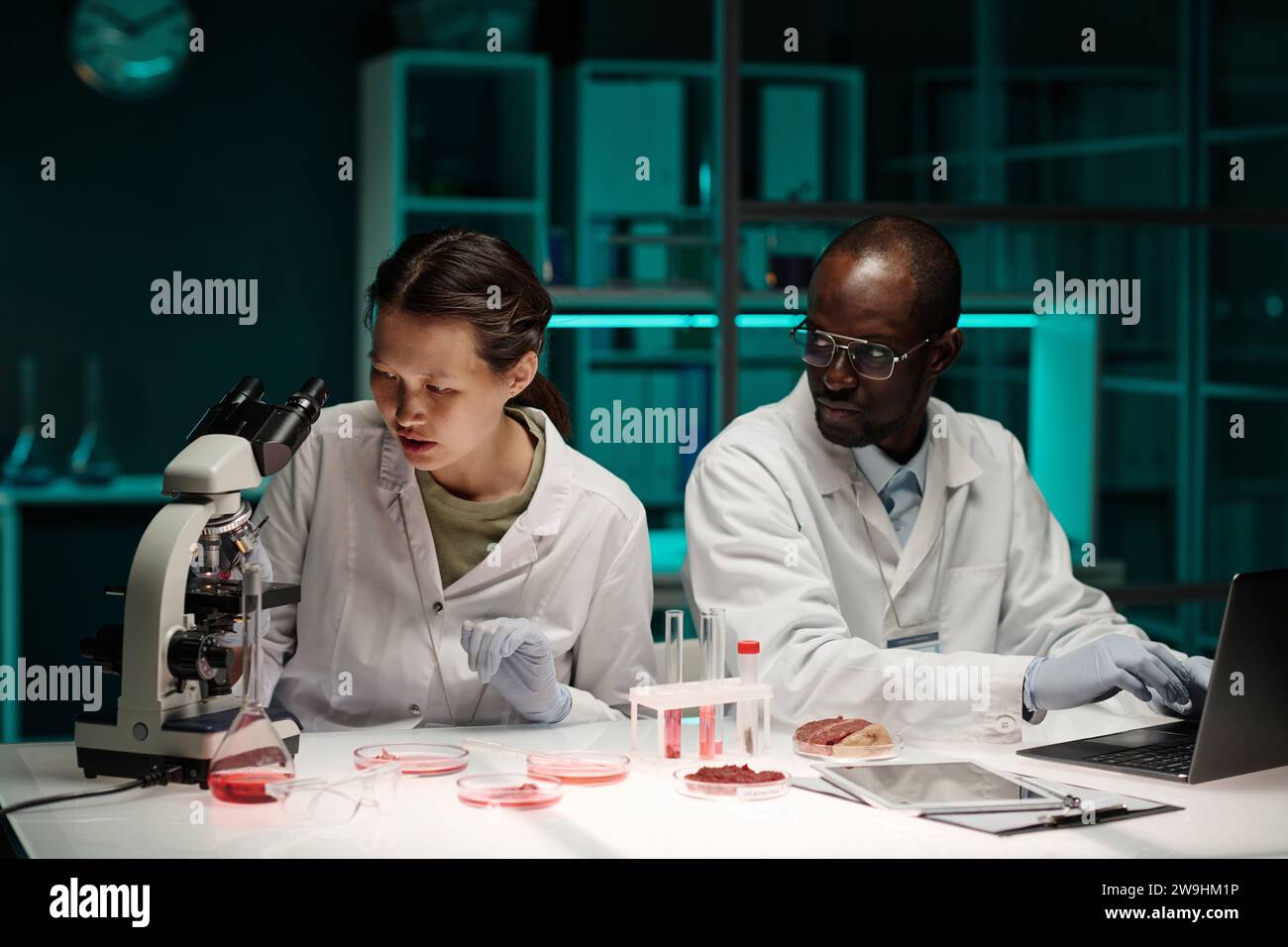 Biracial Scientists arbeiten im Team an synthetischen Fleischalternativen und sitzen am Arbeitsplatz im Labor Stockfoto