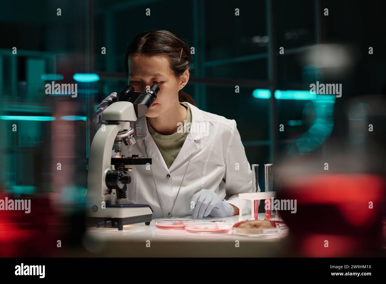 Junger asiatischer Laborassistent, der durch das Mikroskop schaut und wissenschaftliche Forschung durchführt Stockfoto