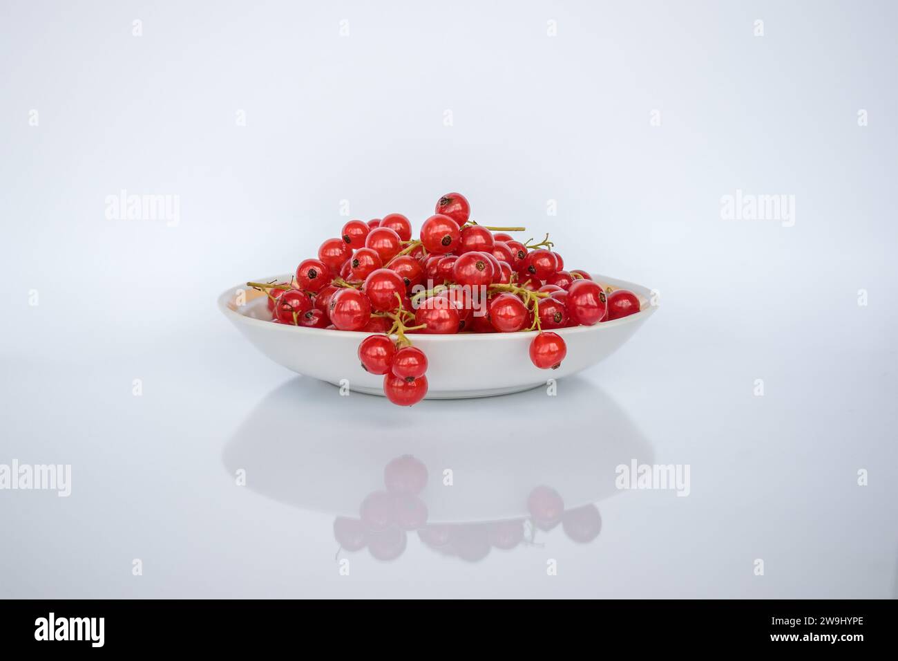 Rote Johannisbeerbeeren in einer Untertasse auf weißem Hintergrund mit Reflexion Stockfoto