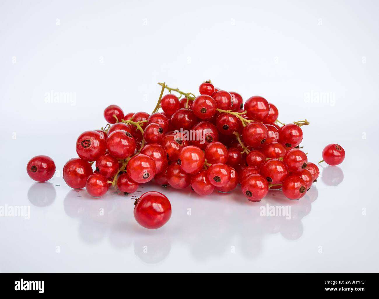 Feuchte rote Johannisbeerbeeren auf weißem Hintergrund mit Reflexion Stockfoto