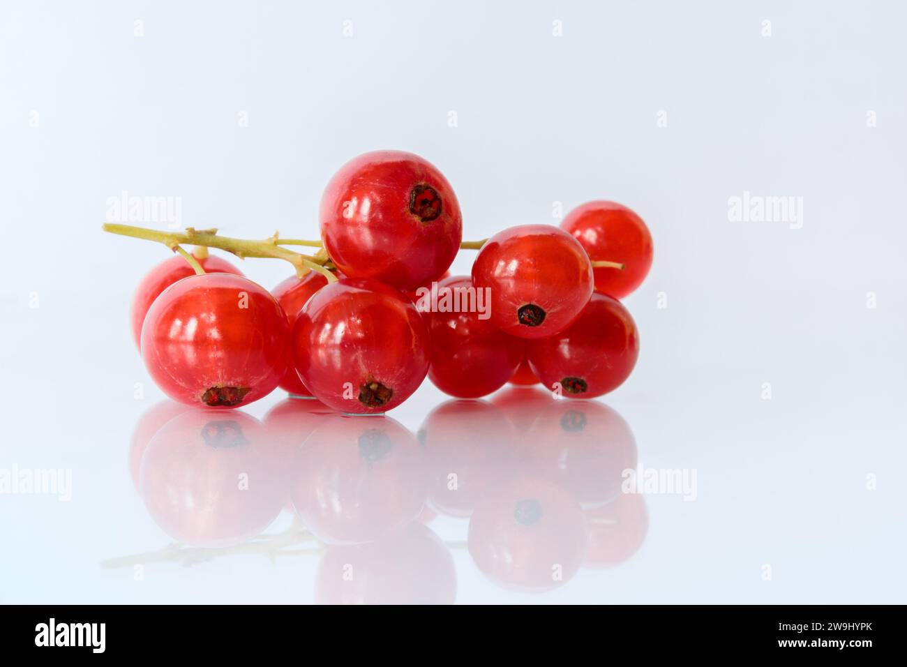 Ein Haufen roter Johannisbeerbeeren auf weißem Hintergrund mit Reflexion Stockfoto