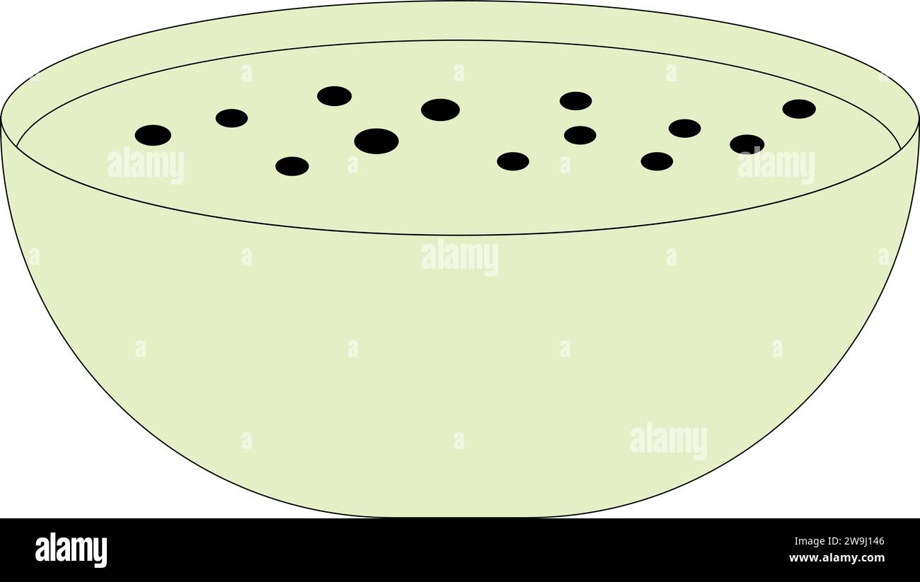 Isolierte leere Salatschüssel Symbol Vektor Stock Vektor