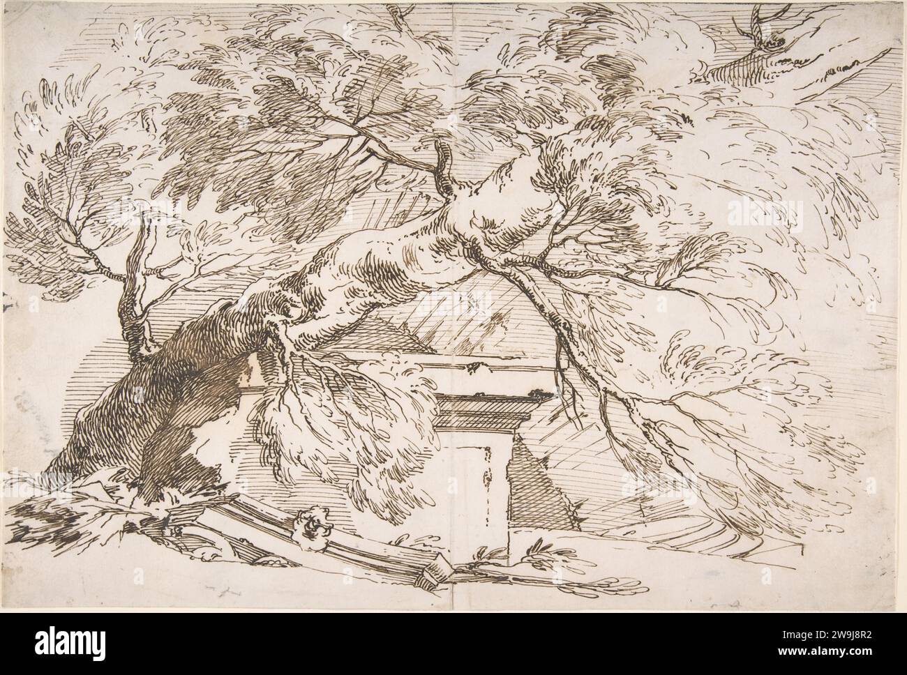 Ein gefallener Baum mit Ruinen 2008 von Paul Troger Stockfoto