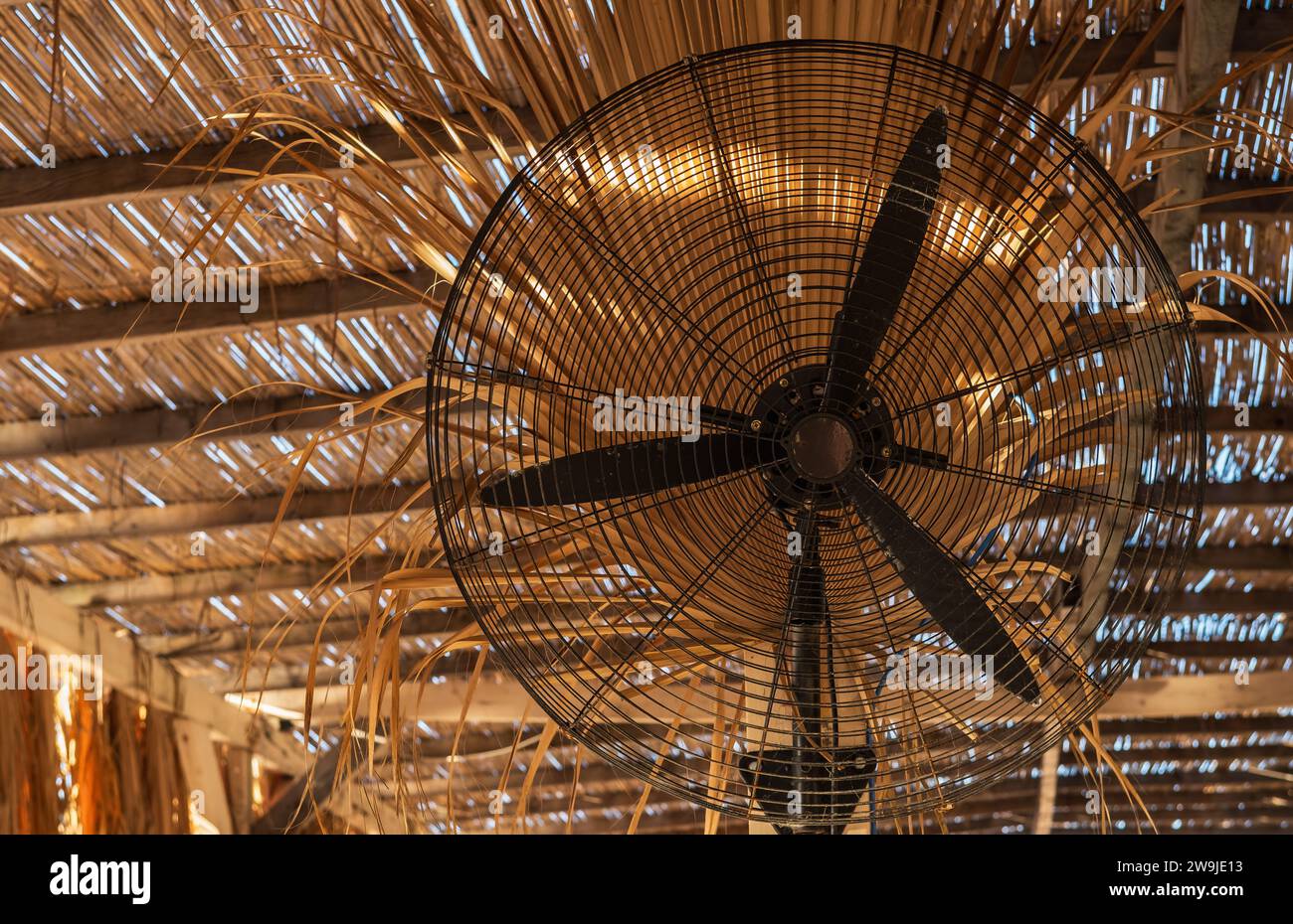 Nahaufnahme mit elektrischem Ventilator an einem heißen Sommertag auf der Außenterrasse. Elektrischer Lüfter Kühlluft an einem heißen Tag. Niemand Stockfoto