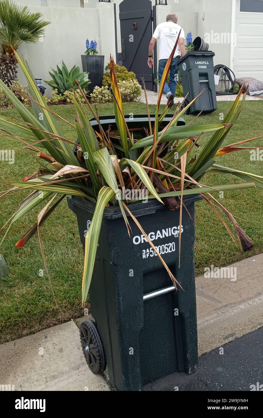 Ein umweltbewusster Hausbesitzer in Laguna Niguel, KALIFORNIEN, teilt seinen Müll in „Deponie“- und „Bio“-Dosen für die Abholung auf. Stockfoto