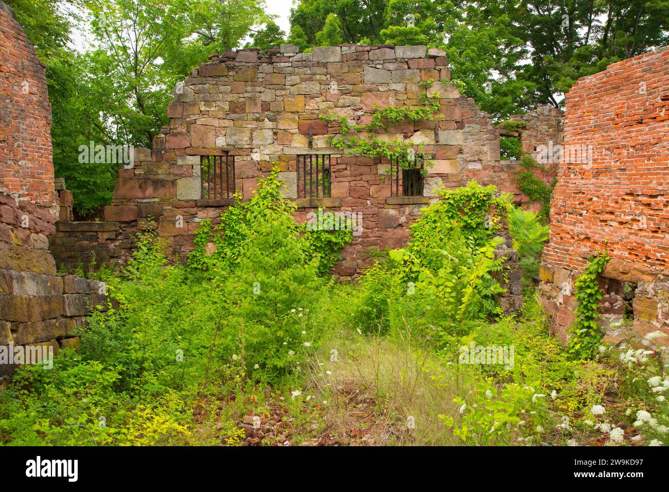 Cellblock Ruine, alte New-Gate Gefängnis & Kupfer Mine archäologische Bewahren, Connecticut Stockfoto