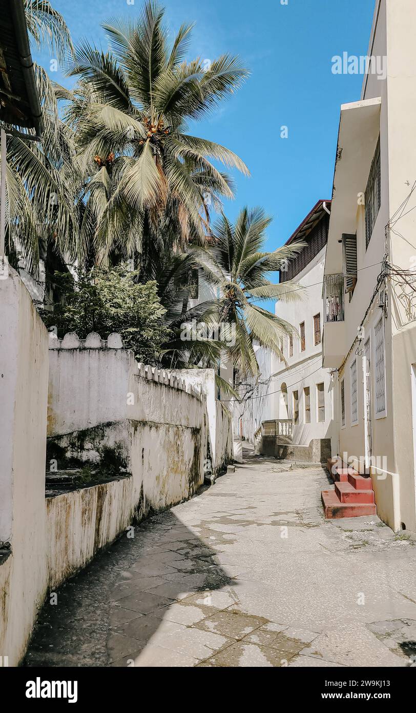 Steinstraße in Stone Town, Sansibar gesäumt von Betonhäusern und Palmen Stockfoto
