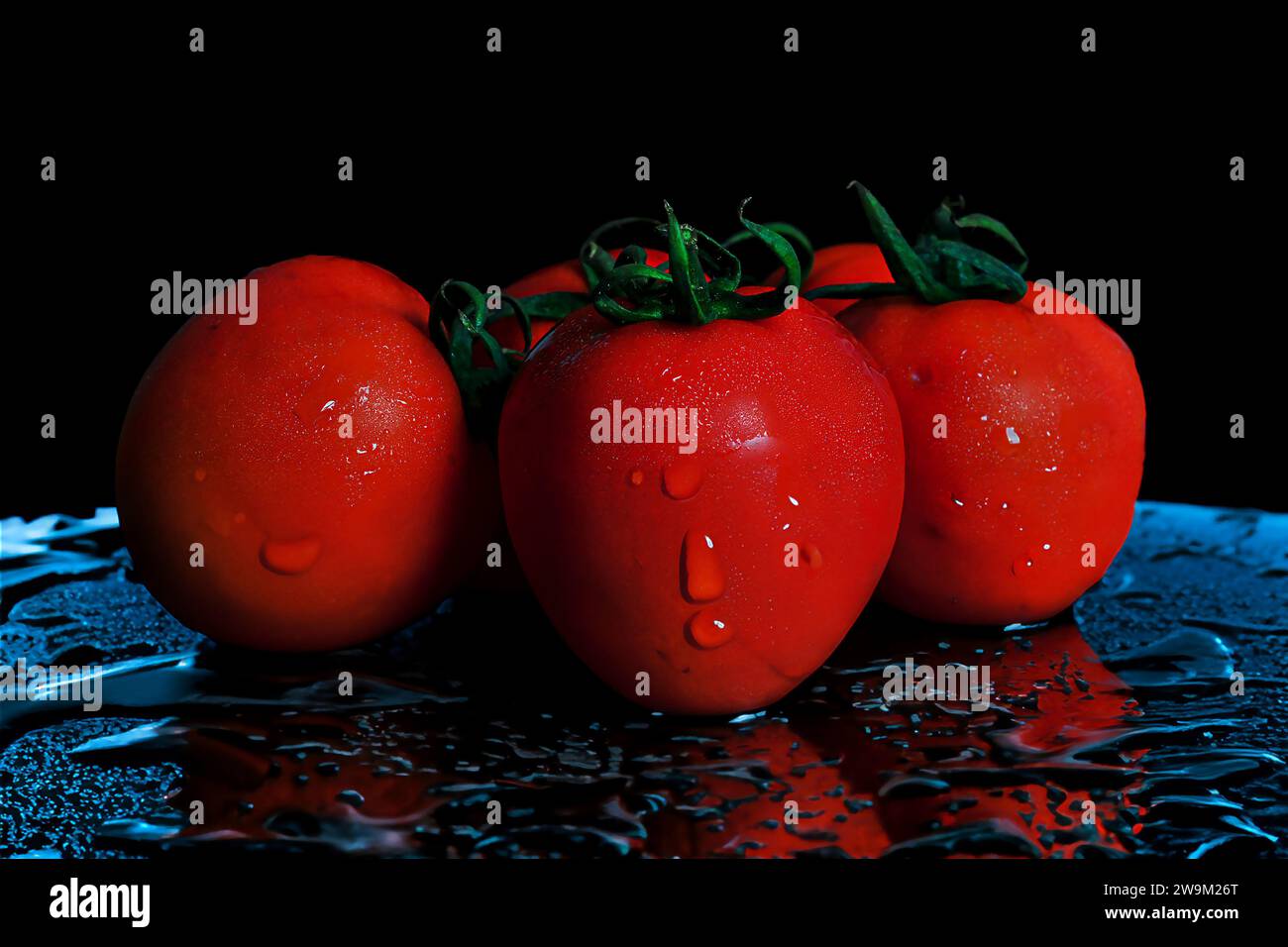 Mehrere Tomaten sind ordentlich auf einem wässrigen Glastisch angeordnet. Frisch und reflektierend Stockfoto