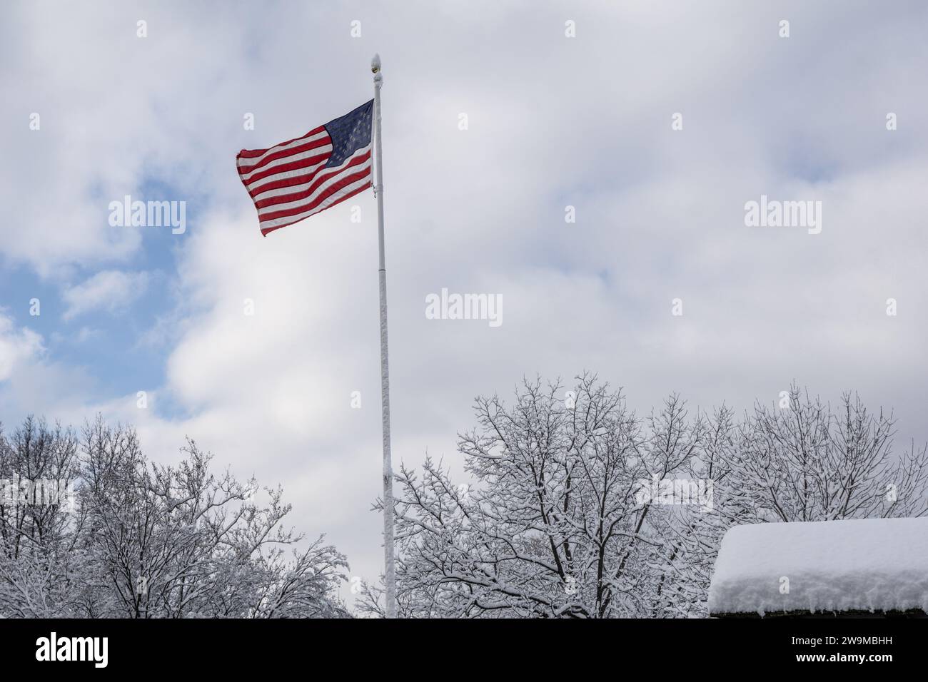 Die amerikanische Flagge fliegt über schneebedeckten Bäumen in winterlicher Landschaft. Stockfoto