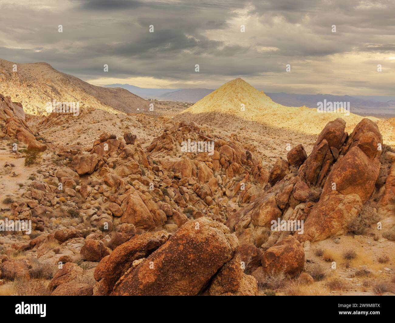 Dunkle Wolken über der Forty-Nine Palms Oasis, Joshua Tree National Park, Kalifornien, USA. Stockfoto