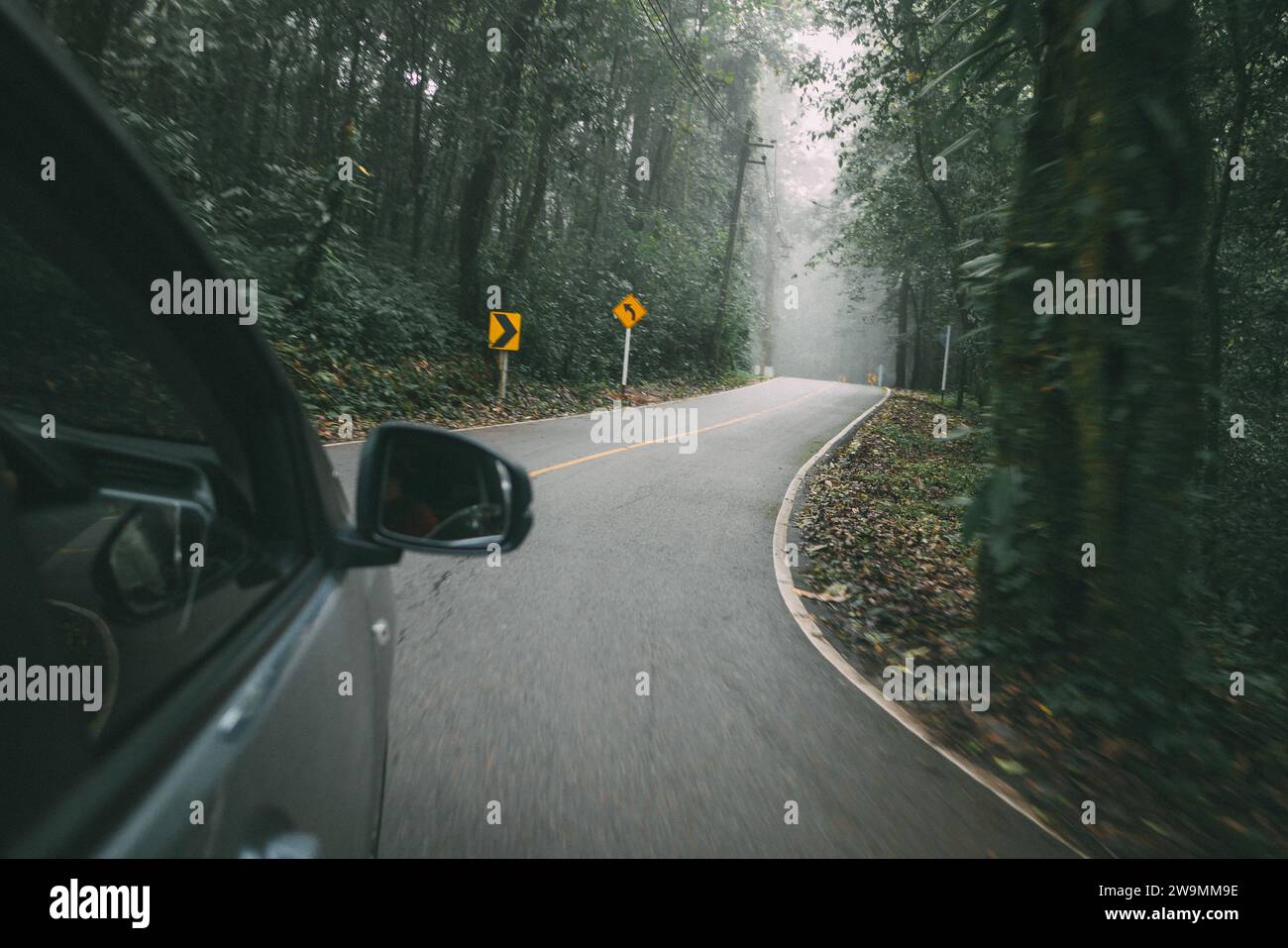 Thailand Road durch den immergrünen Wald in einem weißen Nebel. Stimmungsvolle Herbstlandschaft. Reiseziele, Urlaub, Freiheit, Ökotourismus Stockfoto