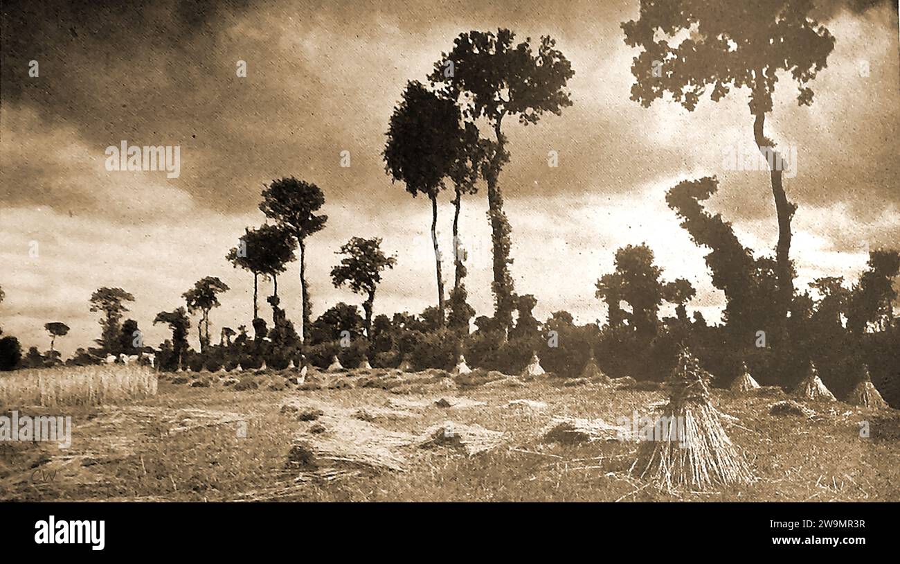 Frankreich 1939 - Erntezeit in der Normandie - Frankreich 1939 - Temps des vendanges en Normandie Stockfoto