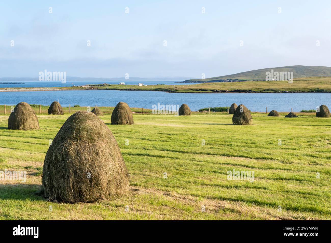 Heuernte in der Nähe von Hamnavoe auf der Insel Yell, Shetland. Mit Loch of Galtagarth und Hamna Voe im Hintergrund. Stockfoto