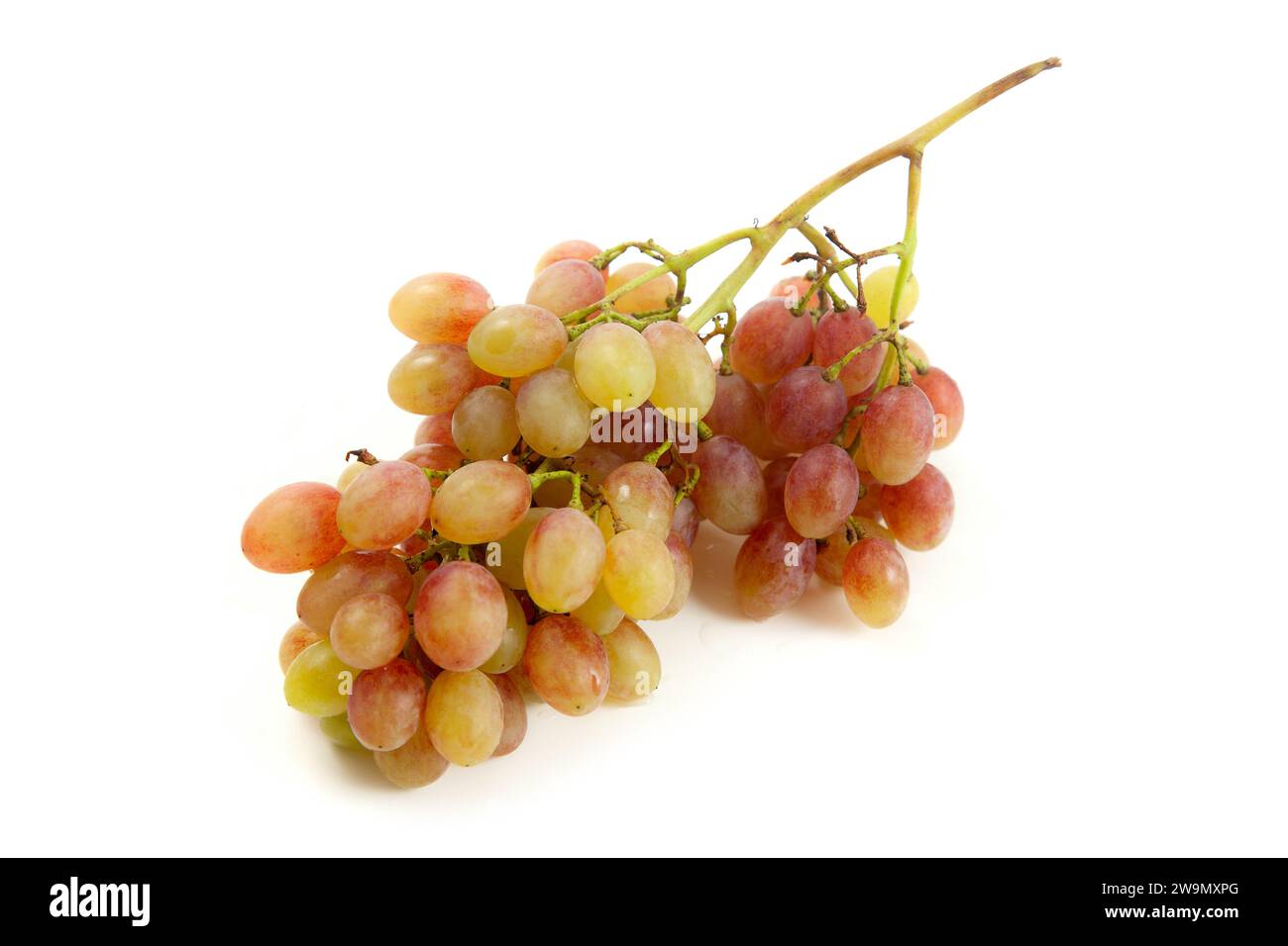 Großer Haufen reifer rosafarbener Trauben isoliert auf weißem Hintergrund. Stockfoto