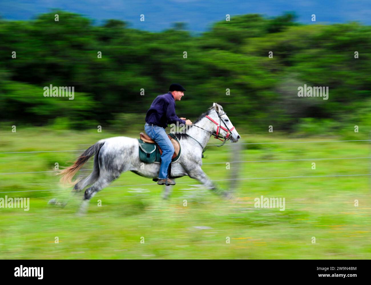 Ein Mann galoppiert mit seinem Pferd durch die Landschaft von Chiapas, Mexiko. Stockfoto