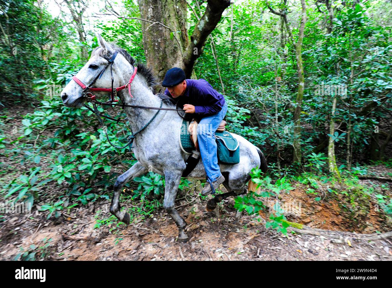 Ein Mann reitet mit seinem Pferd einen steilen Hang hinauf in der Landschaft von Chiapas, Mexiko. Stockfoto