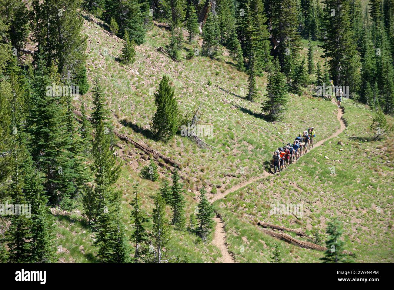 Boy Scout trupps 224 Rucksäcke durch die Eagle Cap Wilderness im Nordosten von Oregon am zweiten Tag ihrer Wanderung. Stockfoto