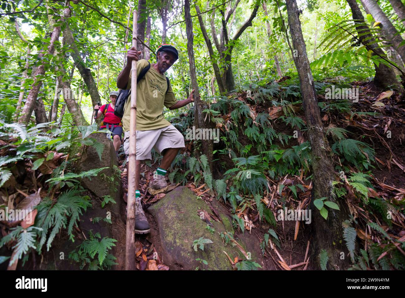 Eine Frau und ihr Reiseleiter wandern auf dem dritten Abschnitt des Waitukubuli National Trail auf der Karibikinsel Dominica. Stockfoto