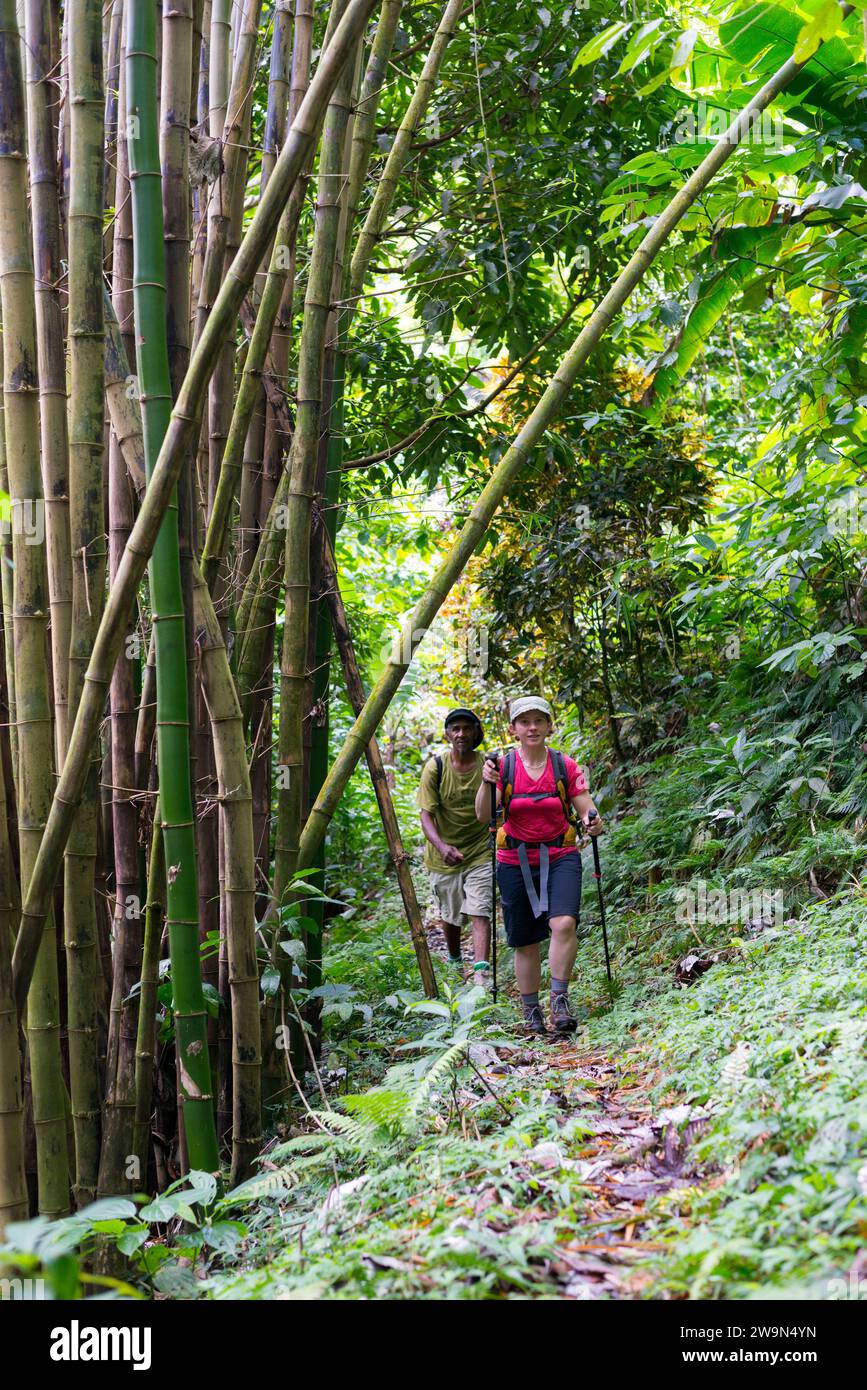 Eine Frau und ihr Reiseleiter wandern auf dem dritten Abschnitt des Waitukubuli National Trail auf der Karibikinsel Dominica. Stockfoto