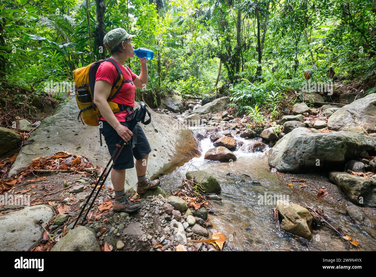 Eine Frau macht eine Wasserpause an einem Bach auf ihrer Wanderung durch Segment 3 des Waitukubuli National Trail auf der Karibikinsel Dominica. Stockfoto