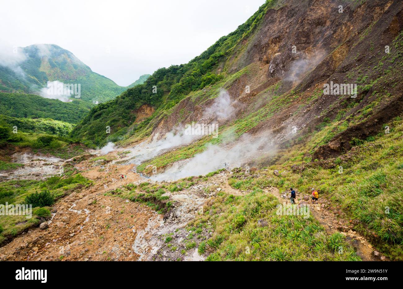 Eine Frau und ihr Reiseleiter wandern hinunter ins Tal der Wüste auf dem Weg zum kochenden See auf der Karibikinsel Dominica. Boiling Lake liegt im Morne Trois Pitons N Stockfoto