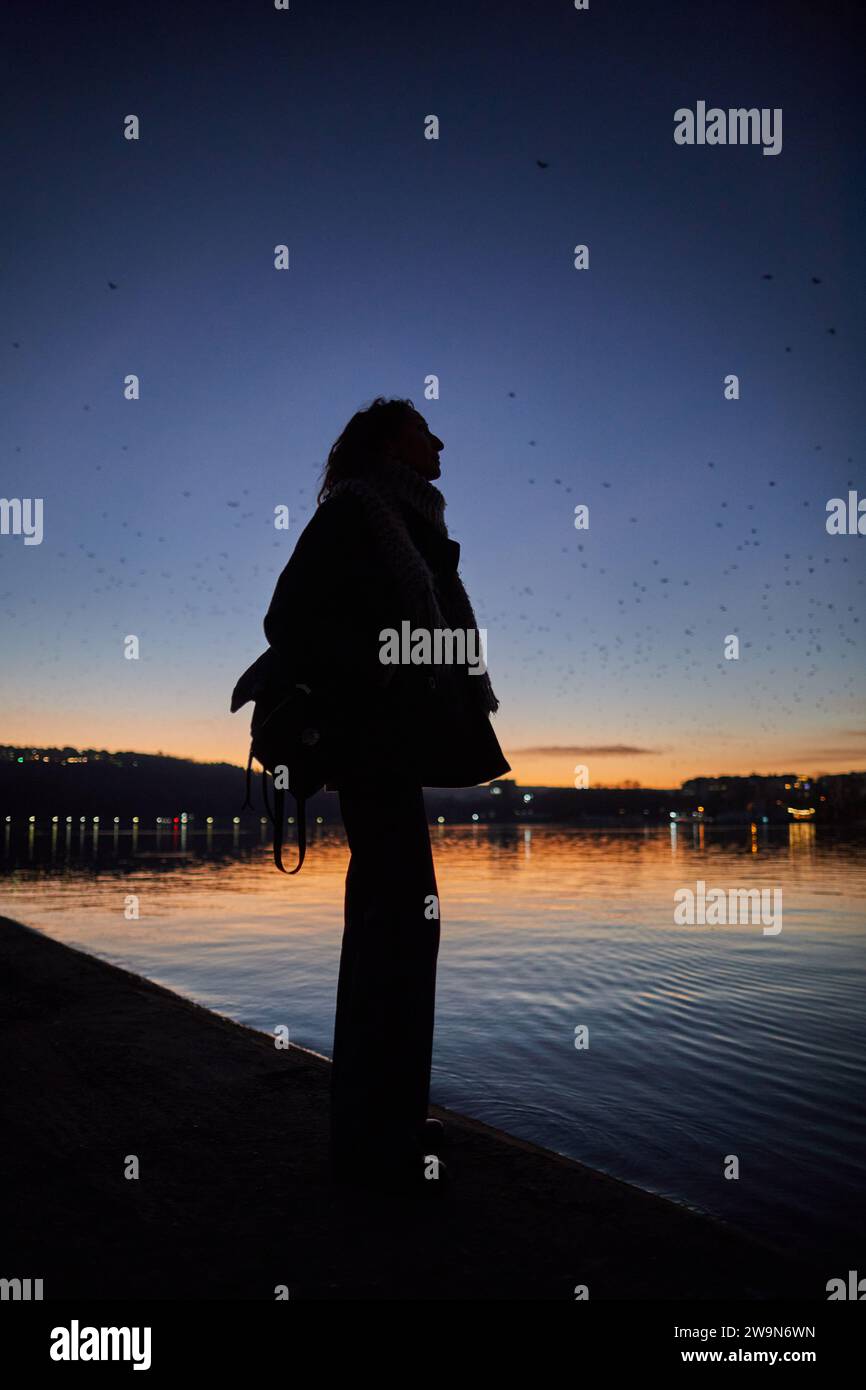 Silhouette einer Frau vor dem Hintergrund von Wasser und Abendhimmel Stockfoto