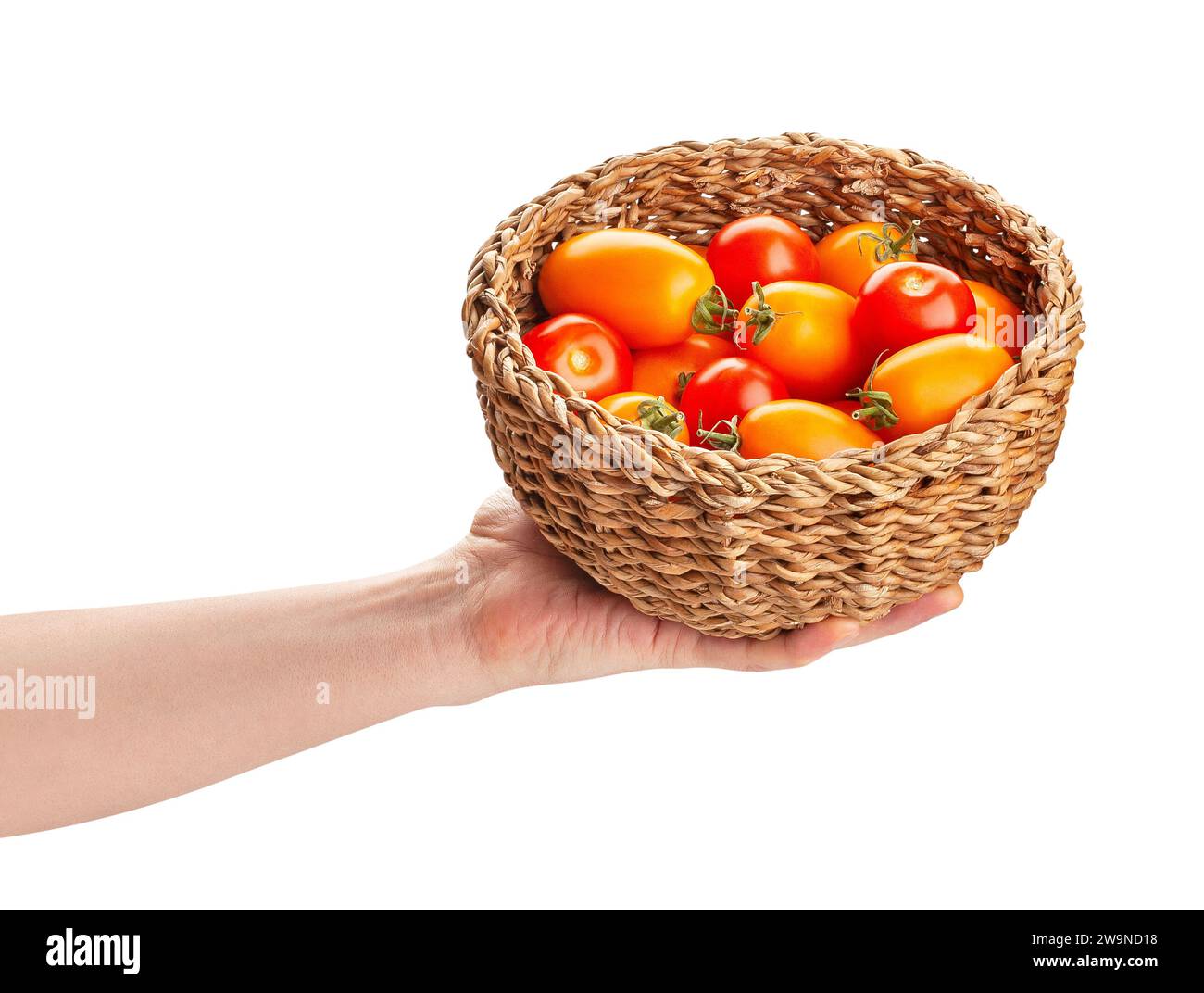 Tomatenmischkorb im Handweg isoliert auf weiß Stockfoto