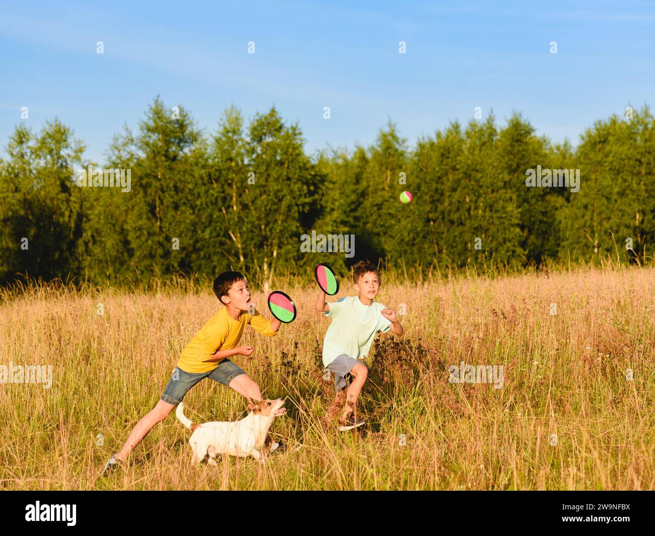 Junge und Familie Hund fangen Ball mit Wurf und Fang Set Stockfoto