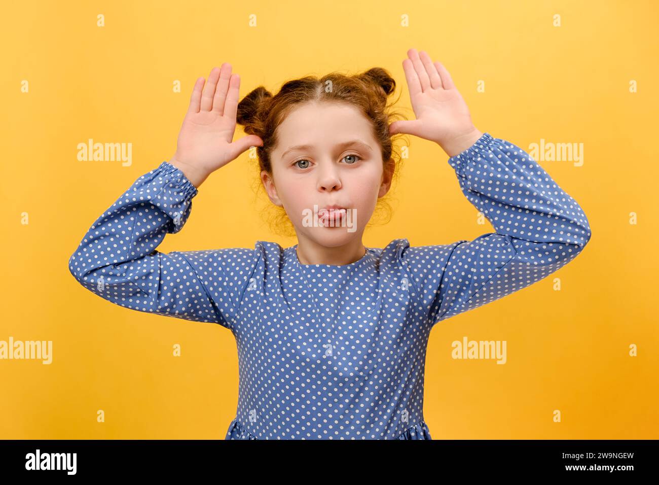 Porträt eines lustigen jungen Mädchens, das aus der Zunge ragt und grimmig in die Kamera blickt, Hände in der Nähe von Schläfen hält, isoliert über lautem Geschrei posiert Stockfoto