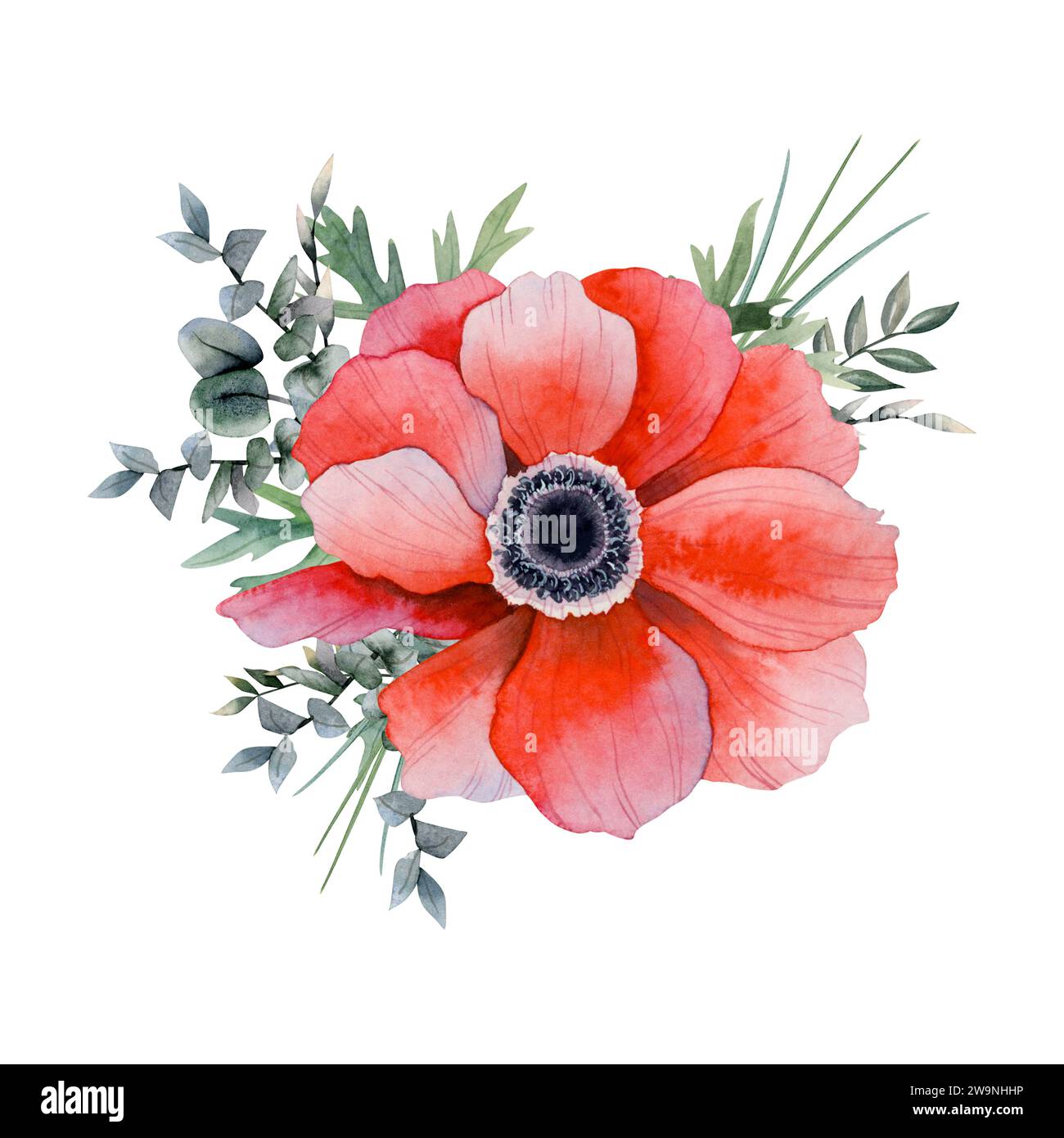 Rote Anemonenblume mit Eukalyptuszweigen und Gras Aquarellblume Illustration. Feldmohn-Wildblume Stockfoto
