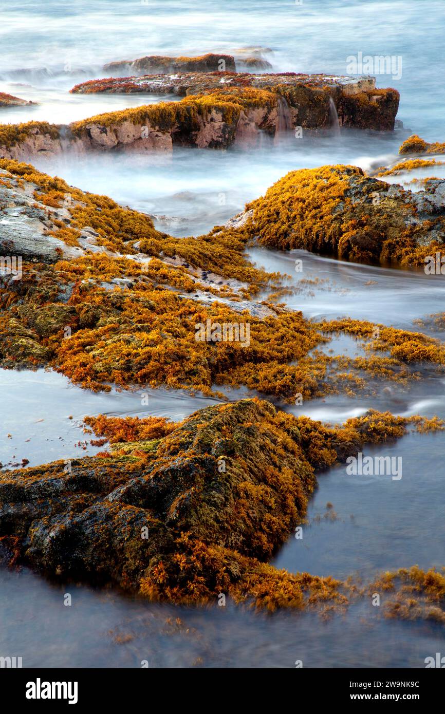 Tidepool Current, Wawaloli Beach Park, Hawaii Stockfoto