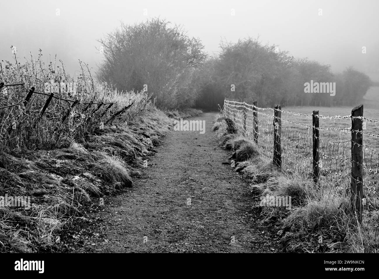 Ein nebeliger Wintermorgen entlang des öffentlichen Fußwegs Arden Way in Warwickshire. Stockfoto